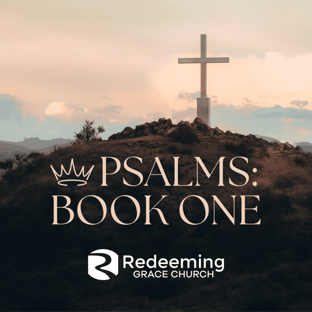 Psalms: Book One - Songs of Suffering & Kingship